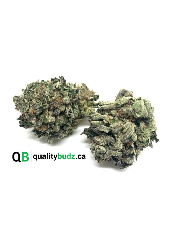 QualityBudz Mail Order Marijuana