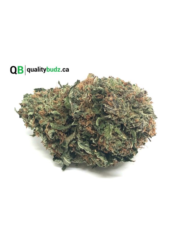 QualityBudz Mail Order Marijuana