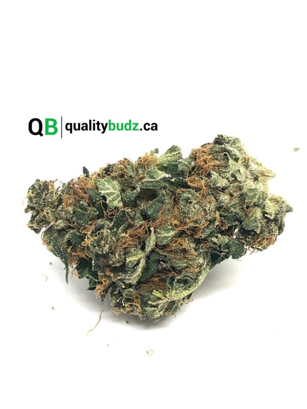 QualityBudz Mail Order Marijuana