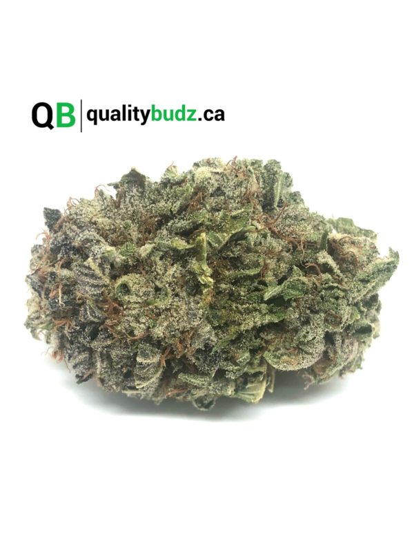 QualityBudz Mail Order Marijuana