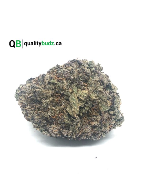 QualityBudz Mail Order Marijuana