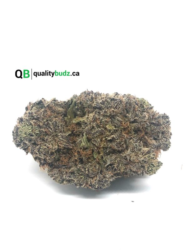 QualityBudz Mail Order Marijuana