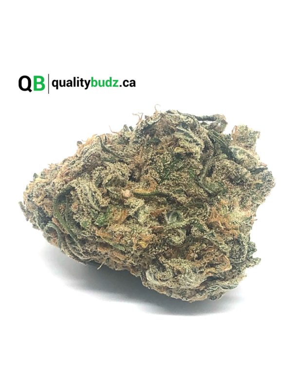 QualityBudz Mail Order Marijuana