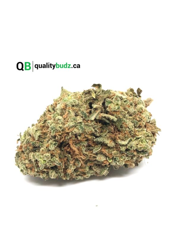 QualityBudz Mail Order Marijuana