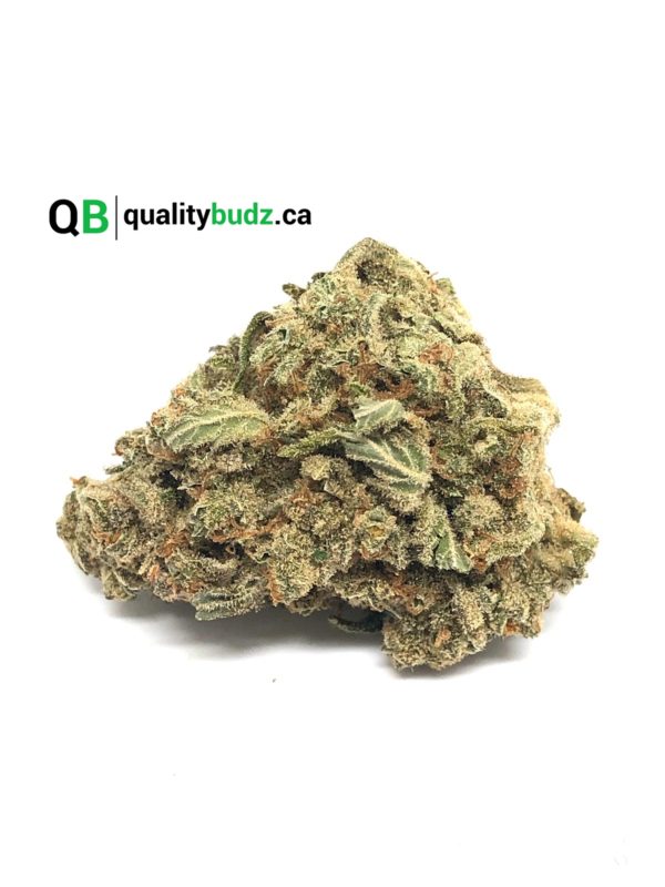 QualityBudz Mail Order Marijuana