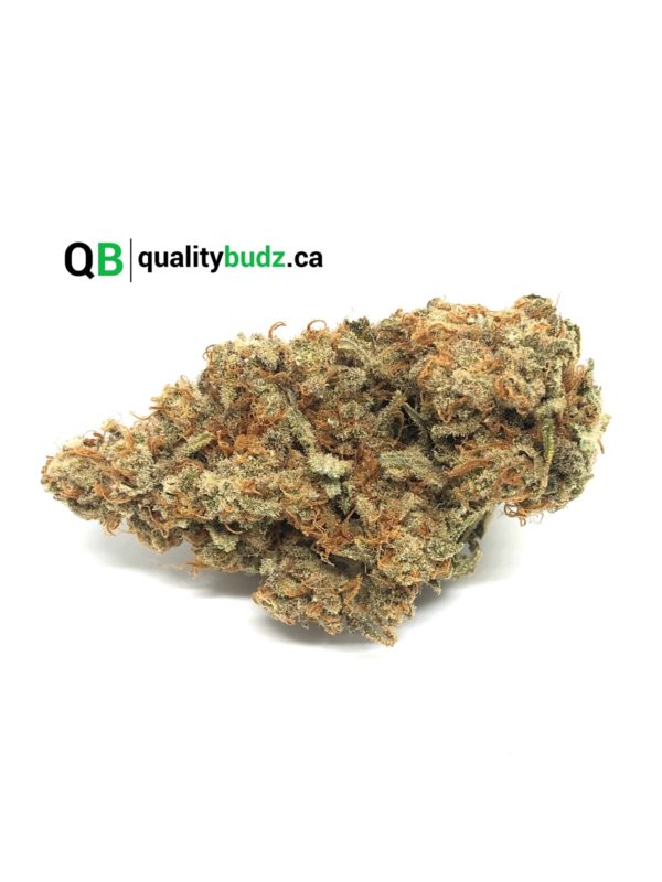 QualityBudz Mail Order Marijuana