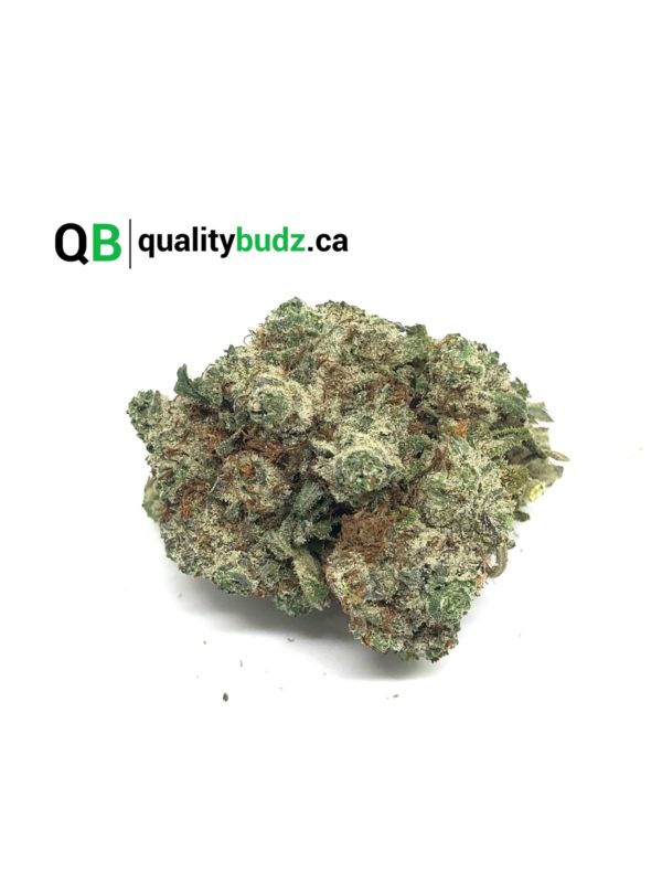 QualityBudz Mail Order Marijuana