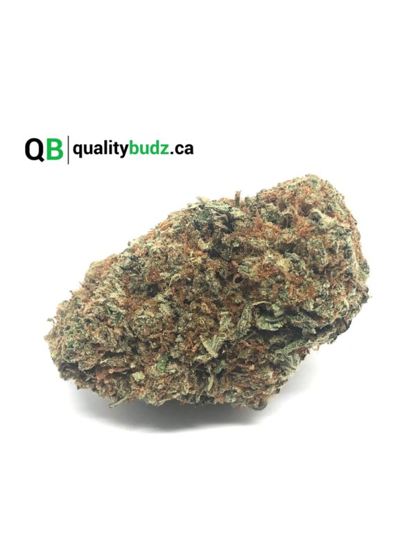 QualityBudz Mail Order Marijuana