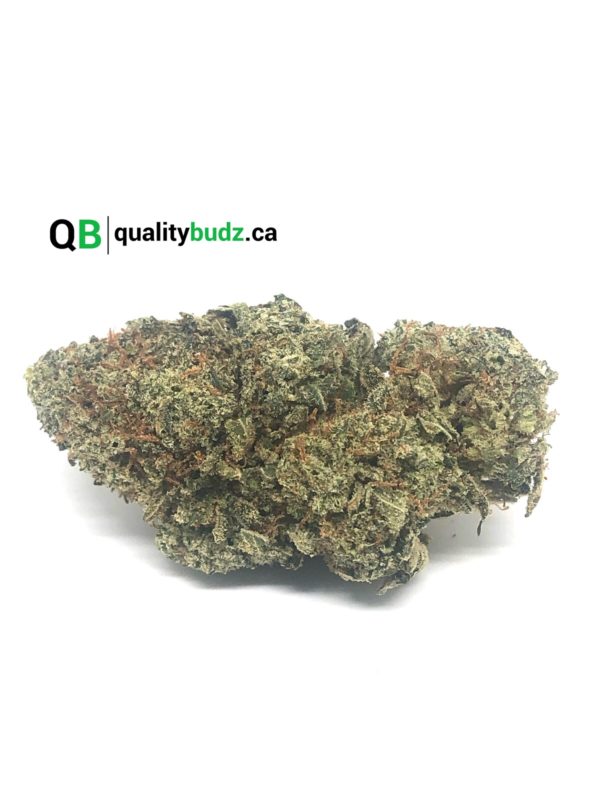 QualityBudz Mail Order Marijuana