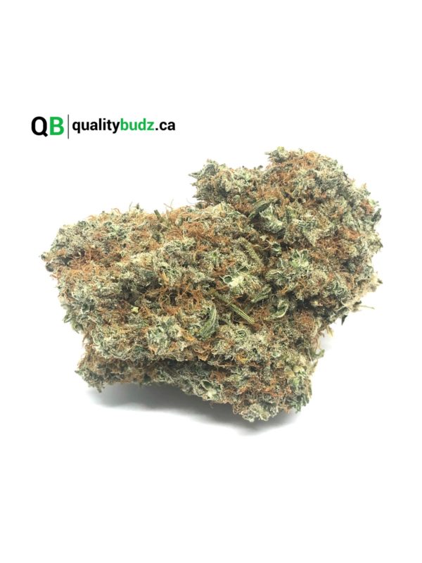 QualityBudz Mail Order Marijuana