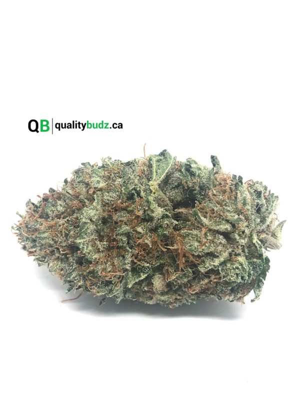 QualityBudz Mail Order Marijuana