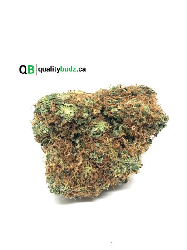 QualityBudz Mail Order Marijuana