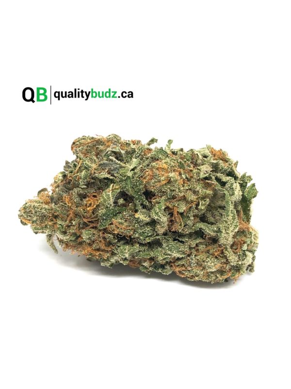 QualityBudz Mail Order Marijuana