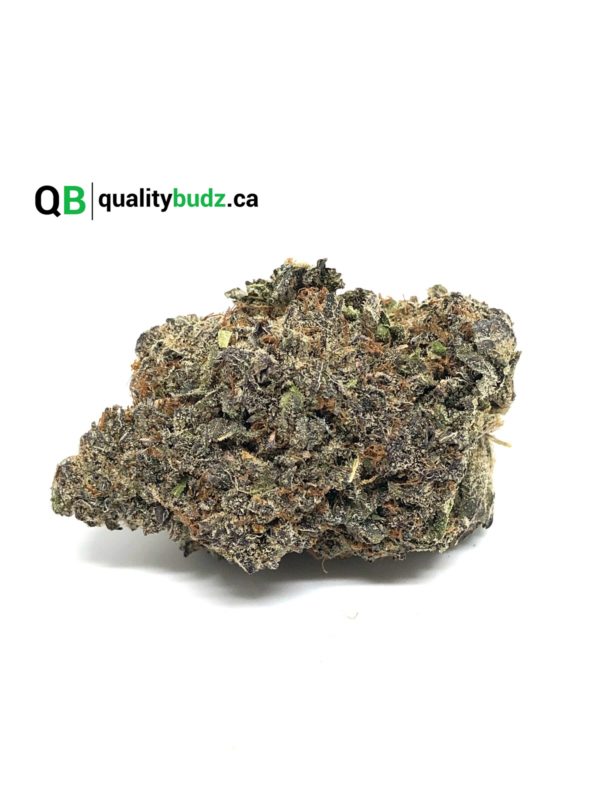 QualityBudz Mail Order Marijuana