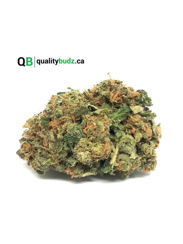 QualityBudz Mail Order Marijuana