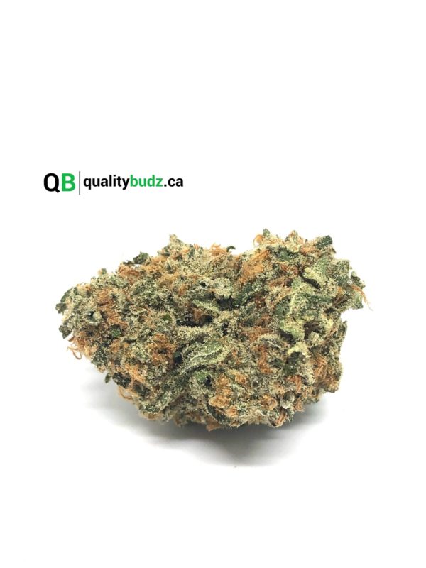 QualityBudz Mail Order Marijuana