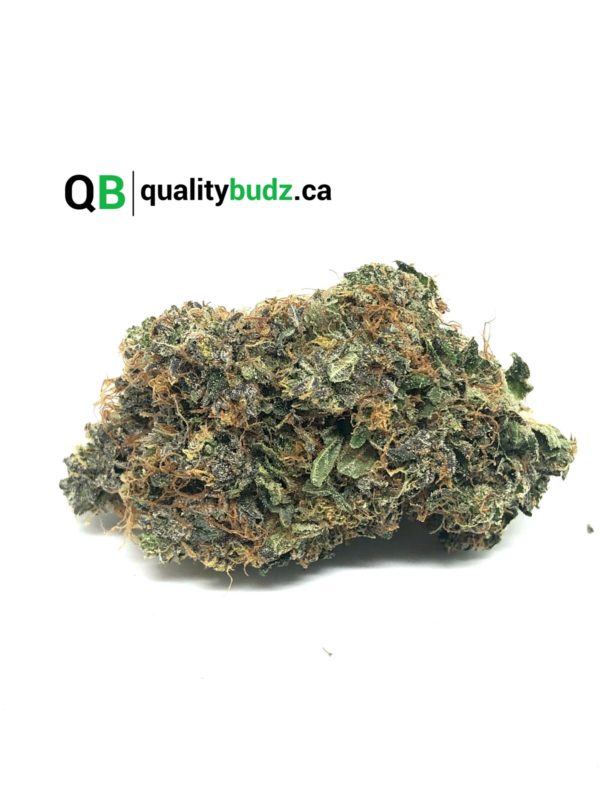 QualityBudz Mail Order Marijuana