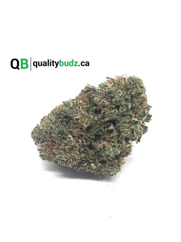 QualityBudz Mail Order Marijuana