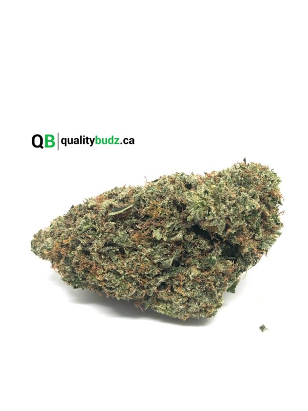 QualityBudz Mail Order Marijuana