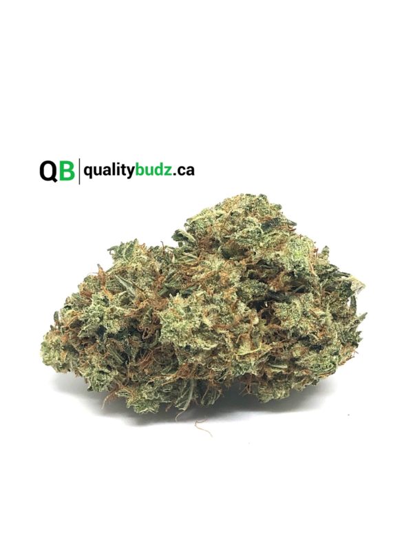 QualityBudz Mail Order Marijuana