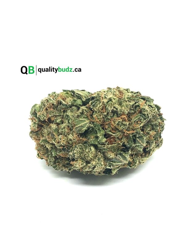 QualityBudz Mail Order Marijuana