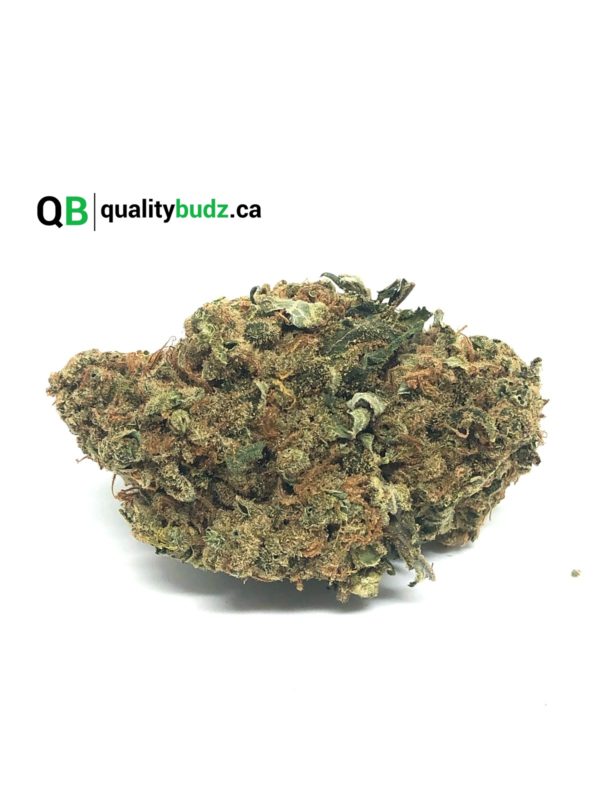 QualityBudz Mail Order Marijuana