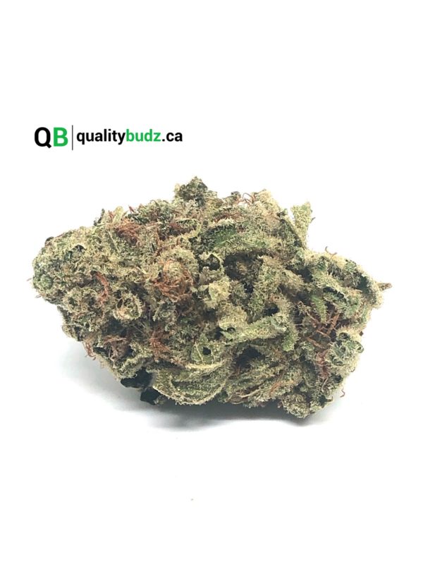 QualityBudz Mail Order Marijuana