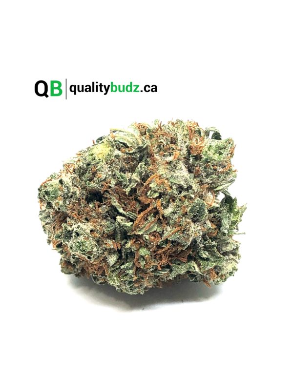 QualityBudz Mail Order Marijuana