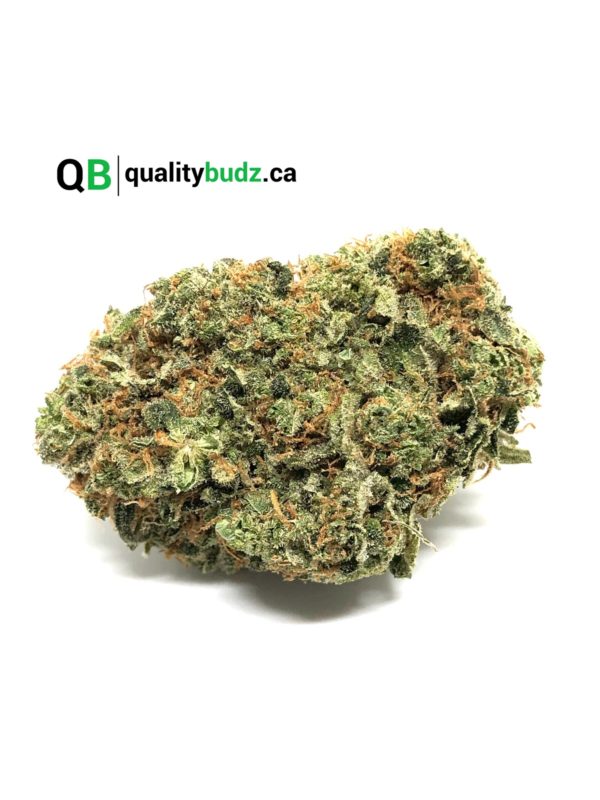 QualityBudz Mail Order Marijuana