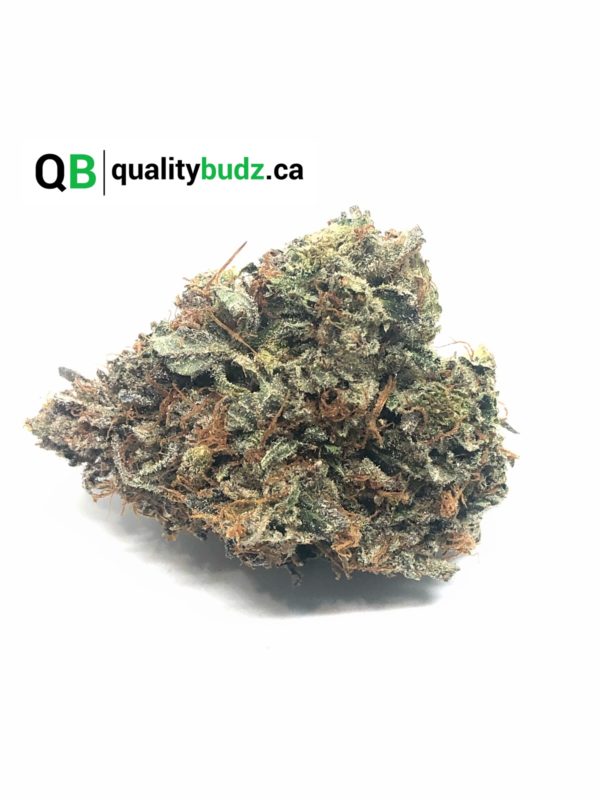 QualityBudz Mail Order Marijuana