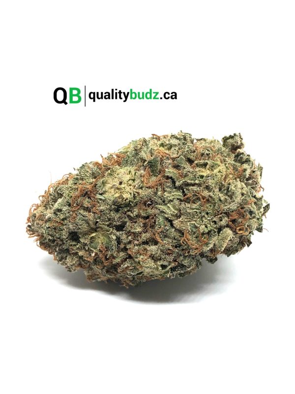 QualityBudz Mail Order Marijuana