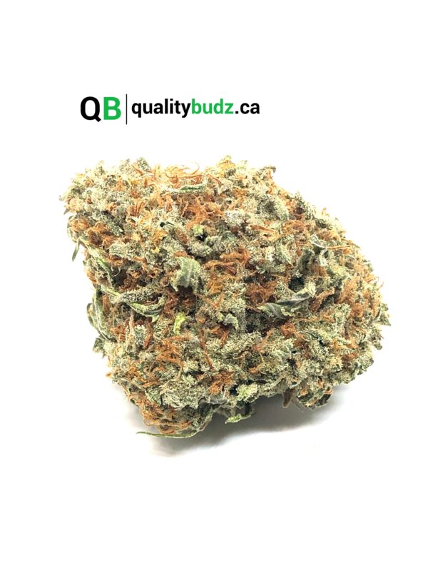 QualityBudz Mail Order Marijuana