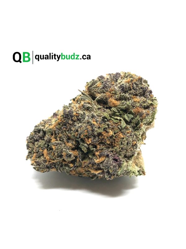 QualityBudz Mail Order Marijuana