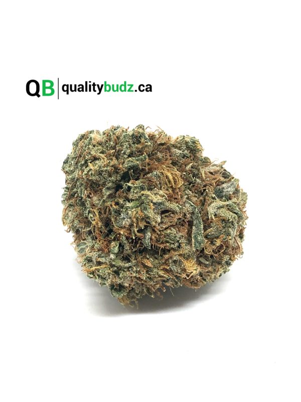 QualityBudz Mail Order Marijuana