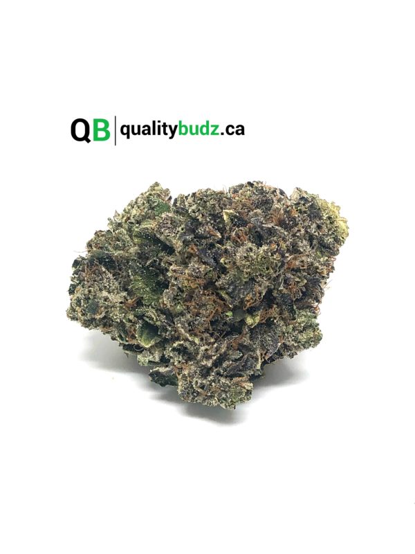 QualityBudz Mail Order Marijuana