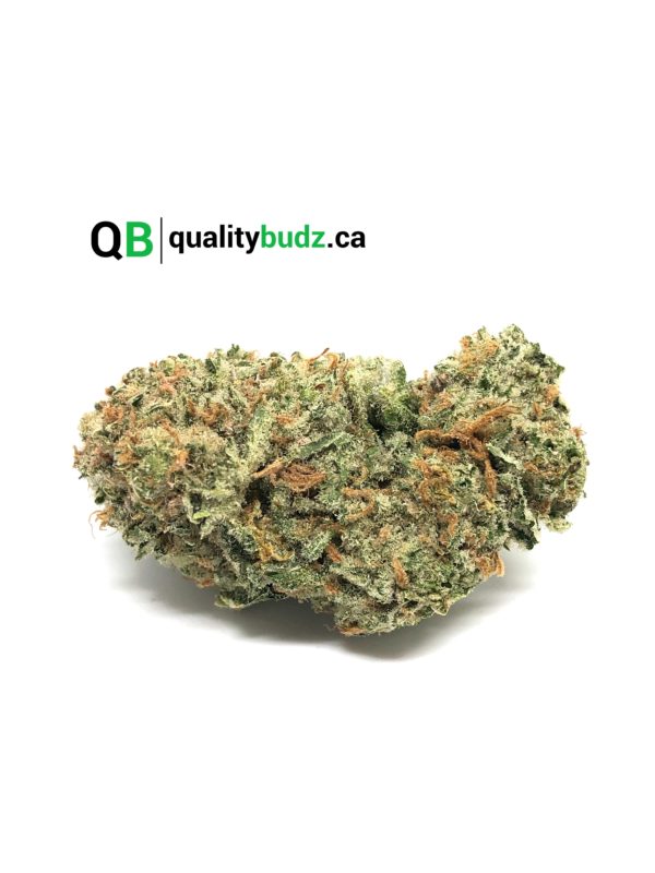 QualityBudz Mail Order Marijuana