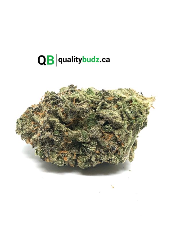 QualityBudz Mail Order Marijuana