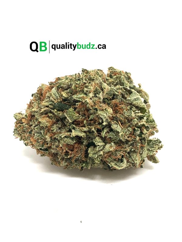 QualityBudz Mail Order Marijuana