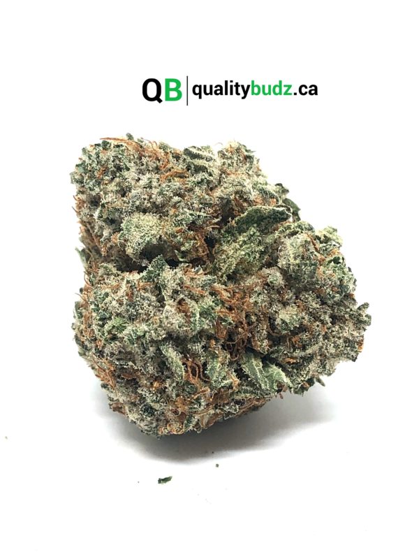 QualityBudz Mail Order Marijuana