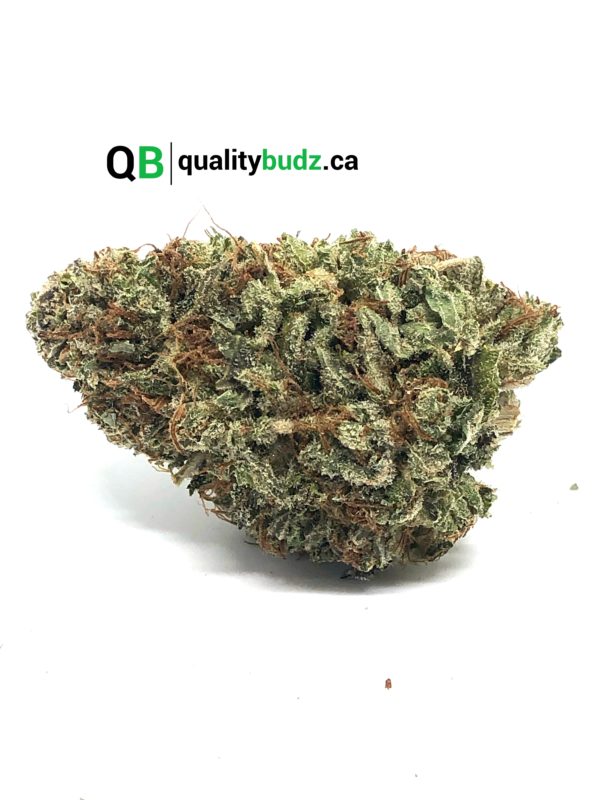 QualityBudz Mail Order Marijuana