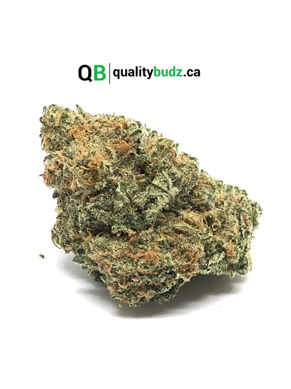 QualityBudz Mail Order Marijuana