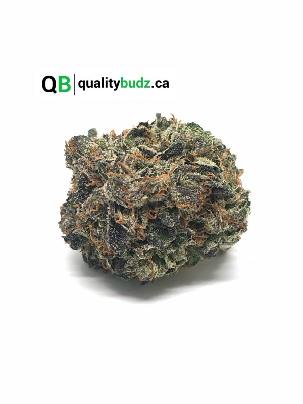 QualityBudz Mail Order Marijuana