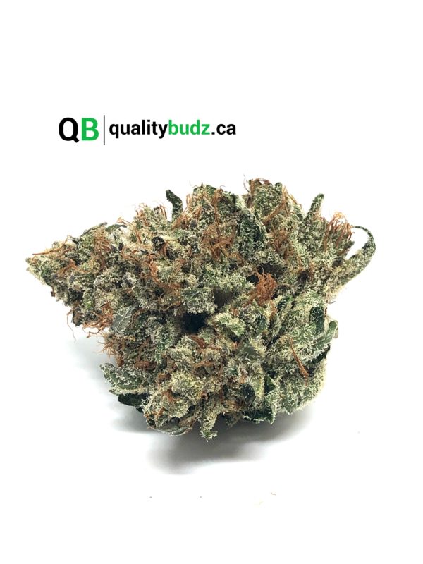 QualityBudz Mail Order Marijuana