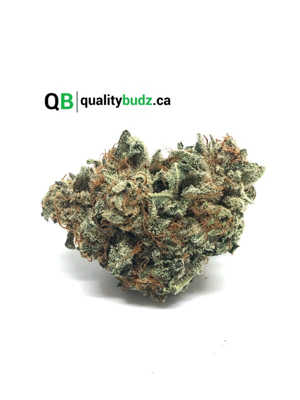 QualityBudz Mail Order Marijuana