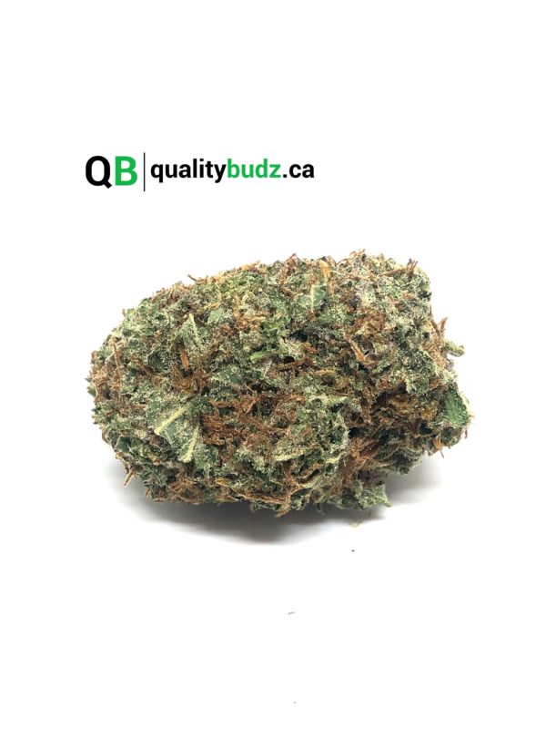 QualityBudz Mail Order Marijuana