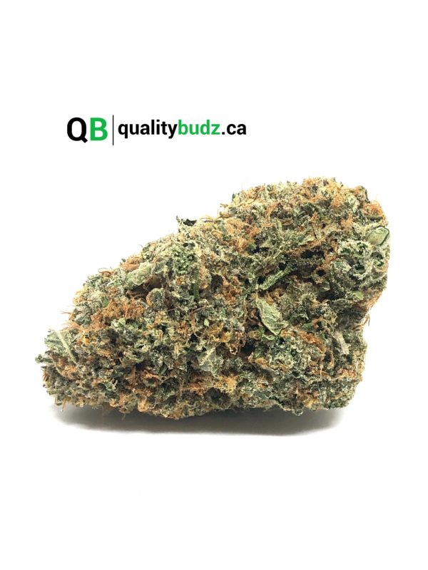 QualityBudz Mail Order Marijuana