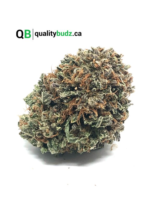 QualityBudz Mail Order Marijuana