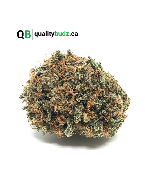 QualityBudz Mail Order Marijuana