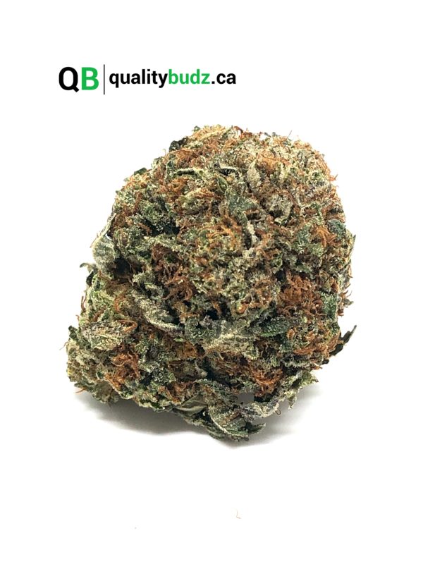 QualityBudz Mail Order Marijuana