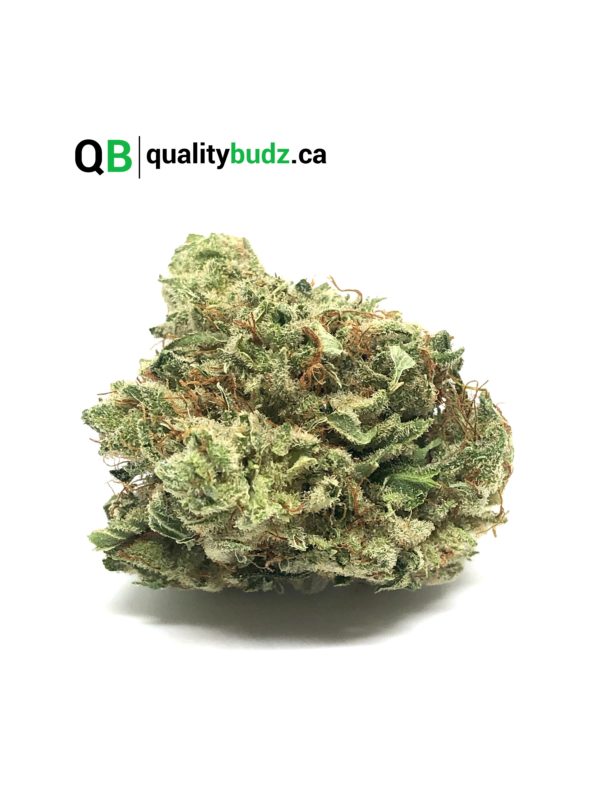 QualityBudz Mail Order Marijuana